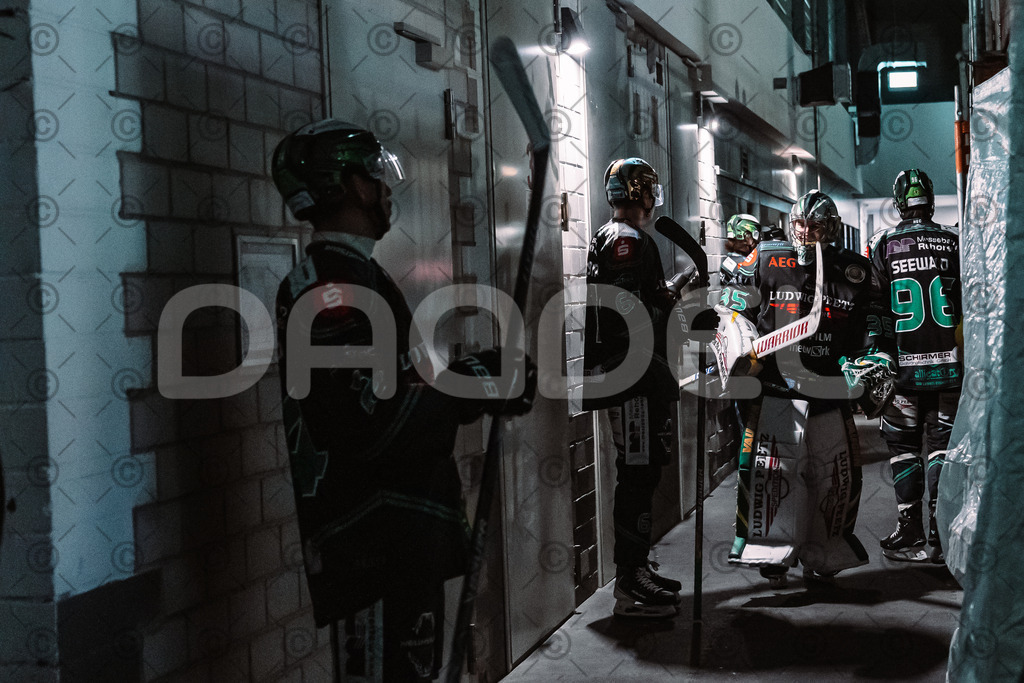 Alligators_vs_Toelz_18_11_2025-11 | Höchstadt Alligators Fotogalerie: Eishockey-Action aus Franken. Professionelle Spielfotos, Portraits & Stadionbilder zum Download. Jetzt entdecken! - Realisiert mit Pictrs.com