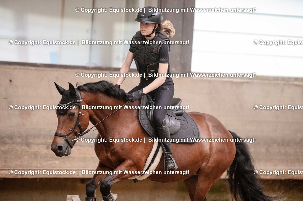 20250725_Vielseitigkeitslehrgang-Marbach_0629 | Foto: Thomas Hartig