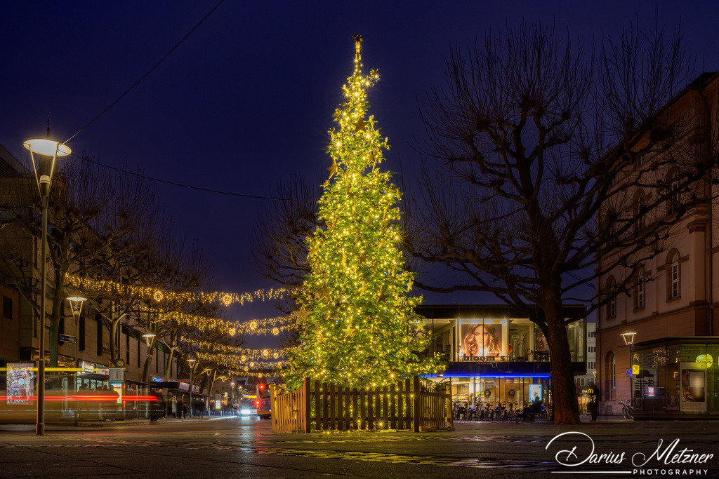 Weihnachten in Mainz am Rhein | Weihnachten in Mainz am Rhein