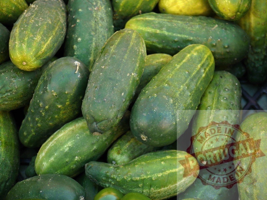 Fresh green cucumbers gathering for pickling | Freshly picked green cucumbers creating a textured background - Realized with Pictrs.com