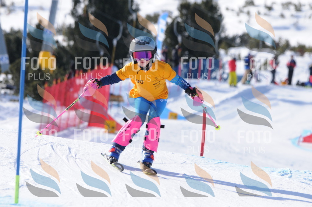 C7037 | holidayphoto