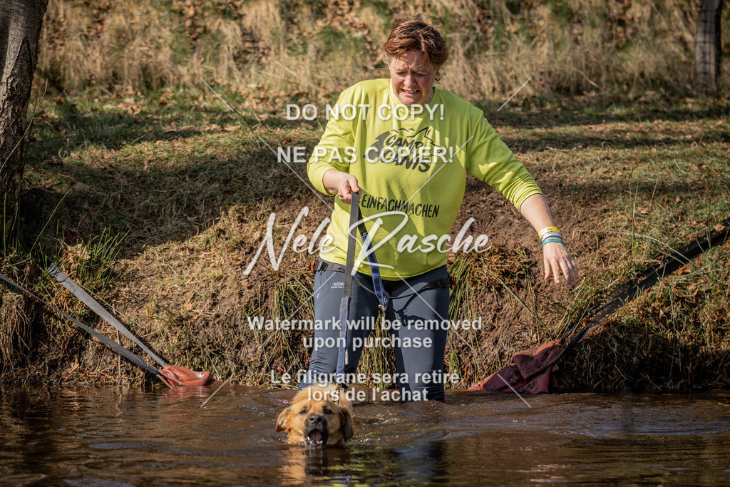 nelerasche_FS1330-1400_69 | nelerasche