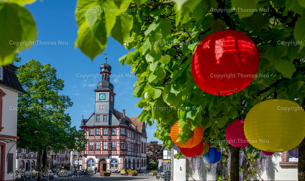 Lorsch-Rathaus-Innenstadt-Fruehling-Fotografie-Thomas_Neu-Bearbeitet | Frühlingshafte Szene in der historischen Innenstadt von Lorsch: historisches Rathaus und ein Baum ist mit bunten Lampions geschmückt und sorgt auf dem Platz vor den charmanten Fachwerk- und Altstadthäusern für eine farbenfrohe Atmosphäre. Sonniges Wetter und lebendiges Stadtbild im Herzen der UNESCO-Klosterstadt Lorsch an der Hessischen Bergstraße.,Bild: THomas Neu