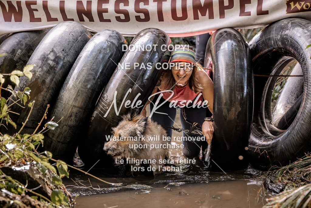 nelerasche_Hunsrück2026_Sa1400-1500_226 | nelerasche
