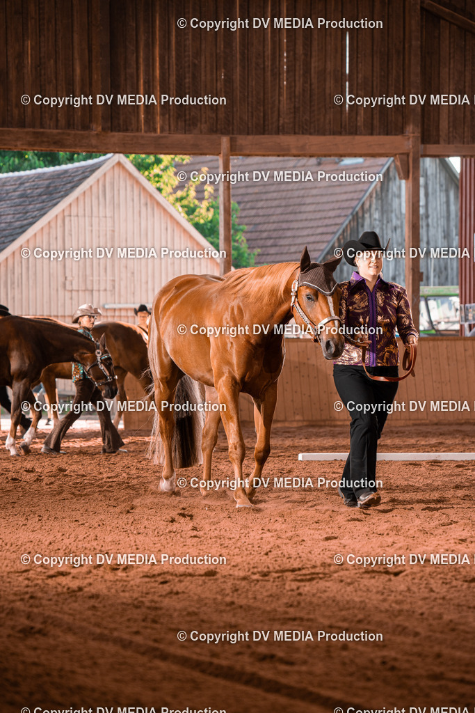 NE100094 | dv-media-shop - Realisiert mit Pictrs.com