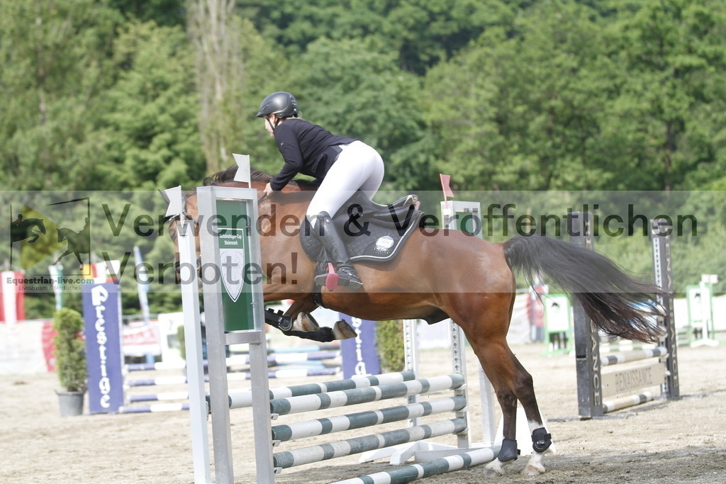 _MG_4569 | equestrian-live-com