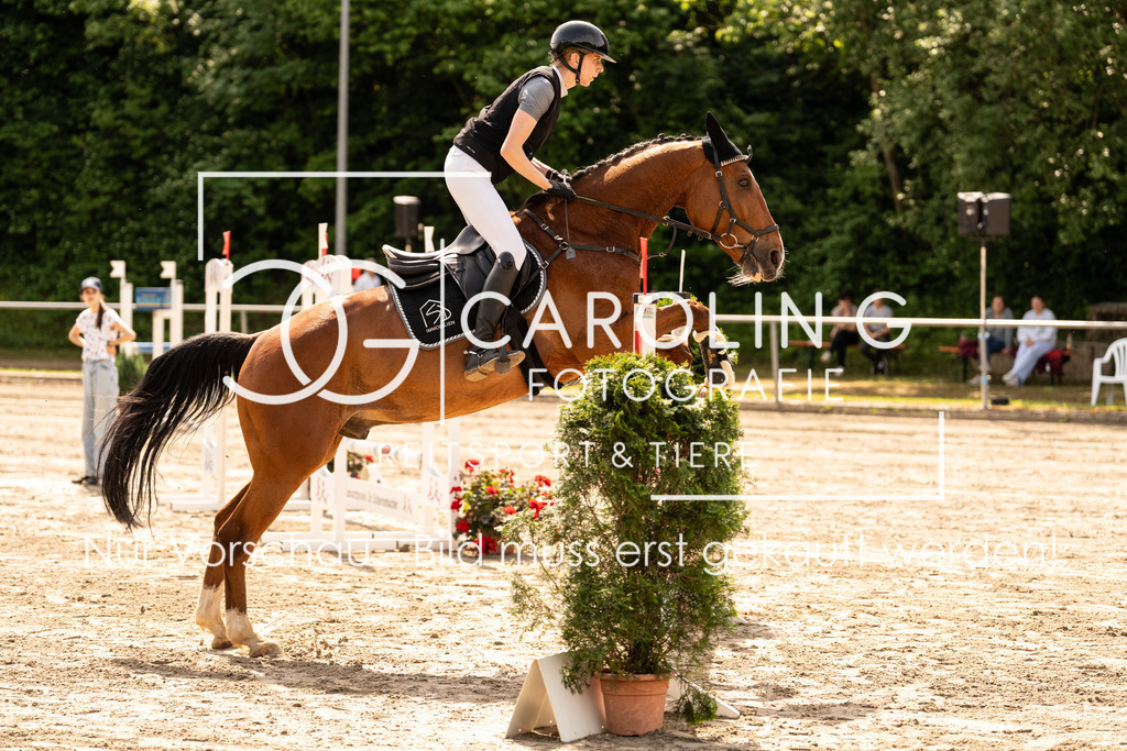 DSC02302 | Carolin Gieschke