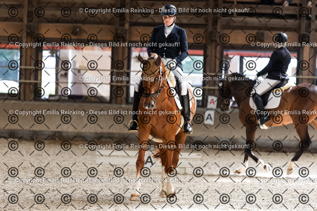 CL5A5993 | Emilia Reinking Fotografie - Realisiert mit Pictrs.com