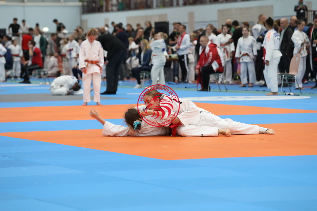 1J7A1599 | Fotos vom Adler Cup - Pictures from Adler Cup

Hier findet Ihr alle Eindrücke und großen Momente der Adler Cup Wochenenden. Here you will find all impressions and great moments of the Adler Cup weekends. - Realisiert mit Pictrs.com