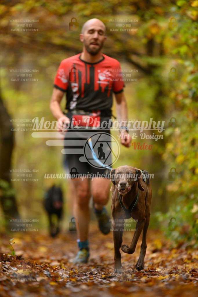 MompixPhotography_CD7S_DI_CCL-63 | mompixphotography