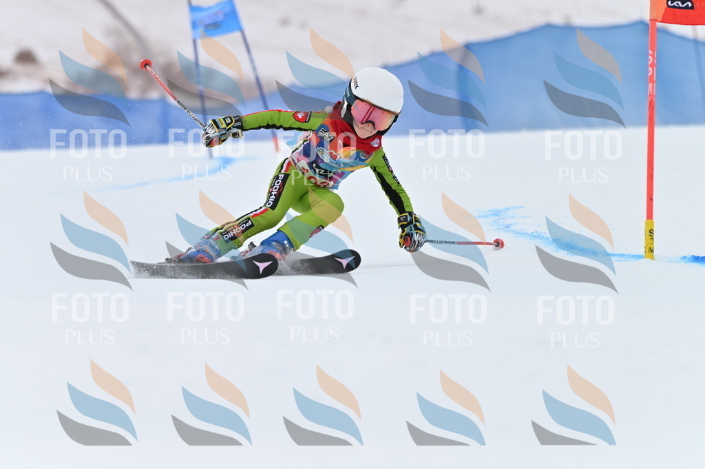 BGV_9352 | holidayphoto