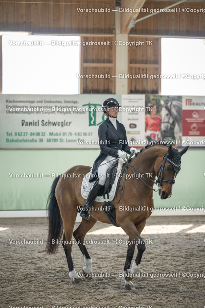 _D5A9820 | Emotionale Pferde- & People-Fotografie rund um Heidelberg, Leimen & Umgebung. Natürliche Fotos von Pferd, Mensch & Familie. Jetzt Termin sichern!