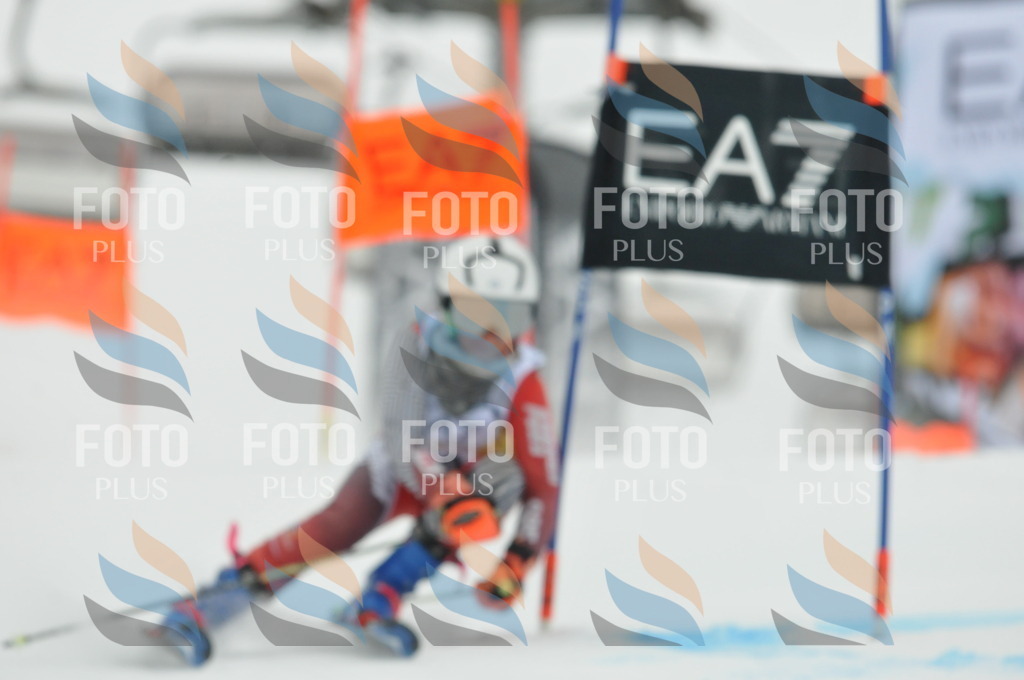 DSC_8347 | holidayphoto