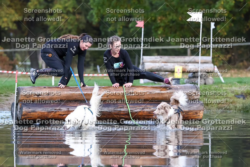 Dog Paparazzi - Strongdog 10-25-6902 | Dog Paparazzi Jeanette Grottendiek Fotografie & Videografie - Realisiert mit Pictrs.com