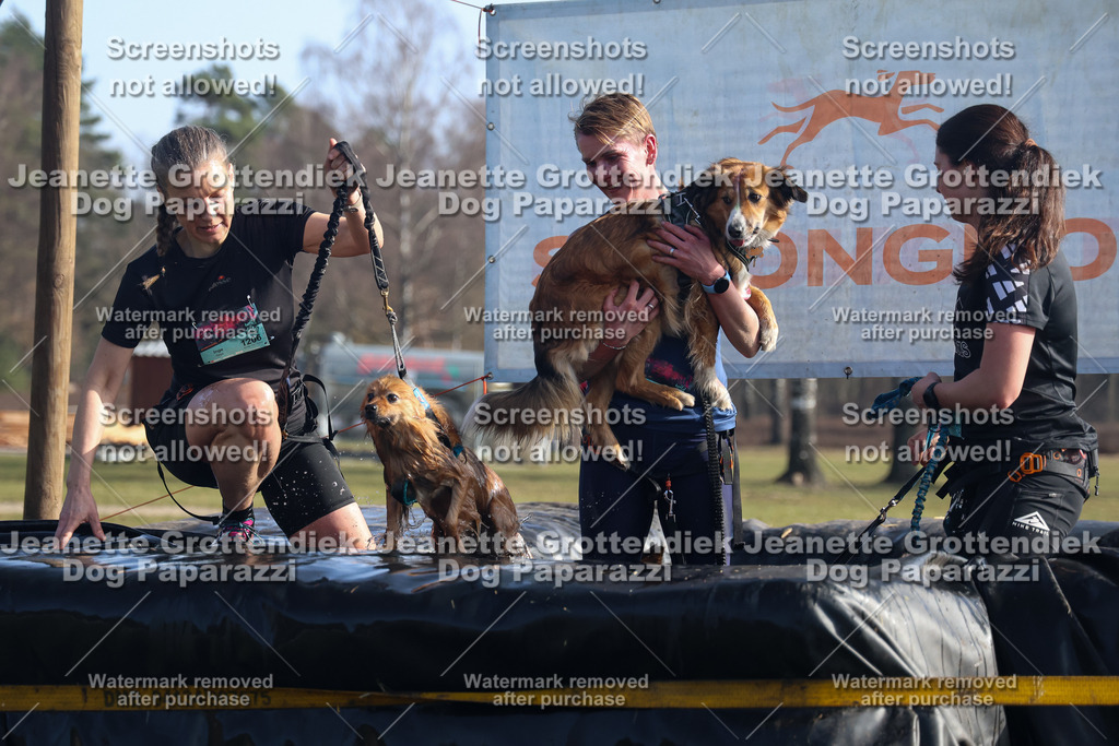 Dog Paparazzi - Strongdog North Mrz26-1273 | Dog Paparazzi Jeanette Grottendiek Fotografie & Videografie - Realisiert mit Pictrs.com