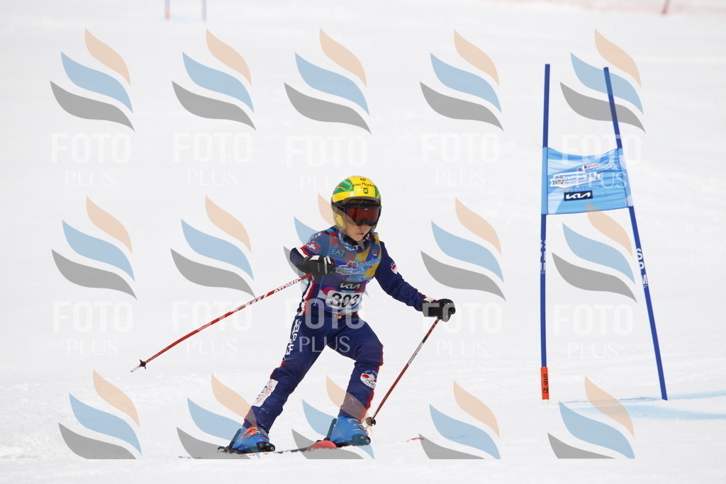 _U3G7541 | holidayphoto