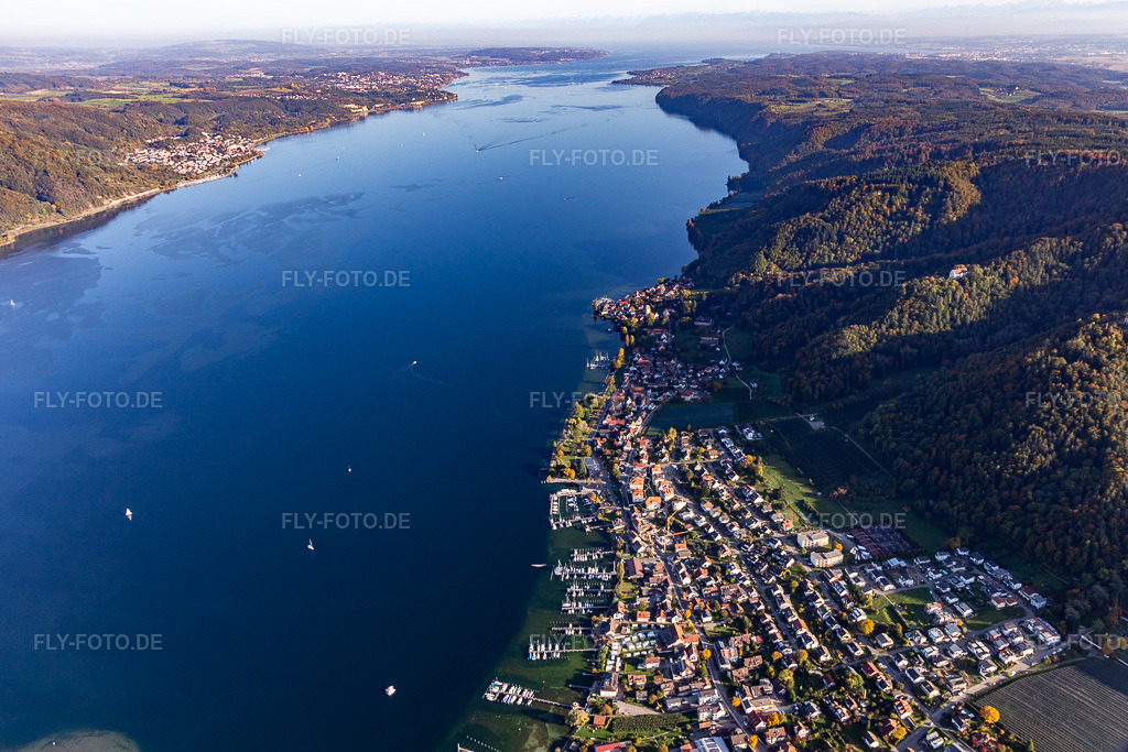 Luftbild: Marina - Hafenbereich am Ufer des Bodensee in Bodman im Ortsteil Bodman in Bodman-Ludwigshafen im Bundesland Baden-Württemberg in Deutschland. Foto: IMG_119419.jpg vom 14.10.2019 durch Werner Riehm/FLY-FOTO.de
