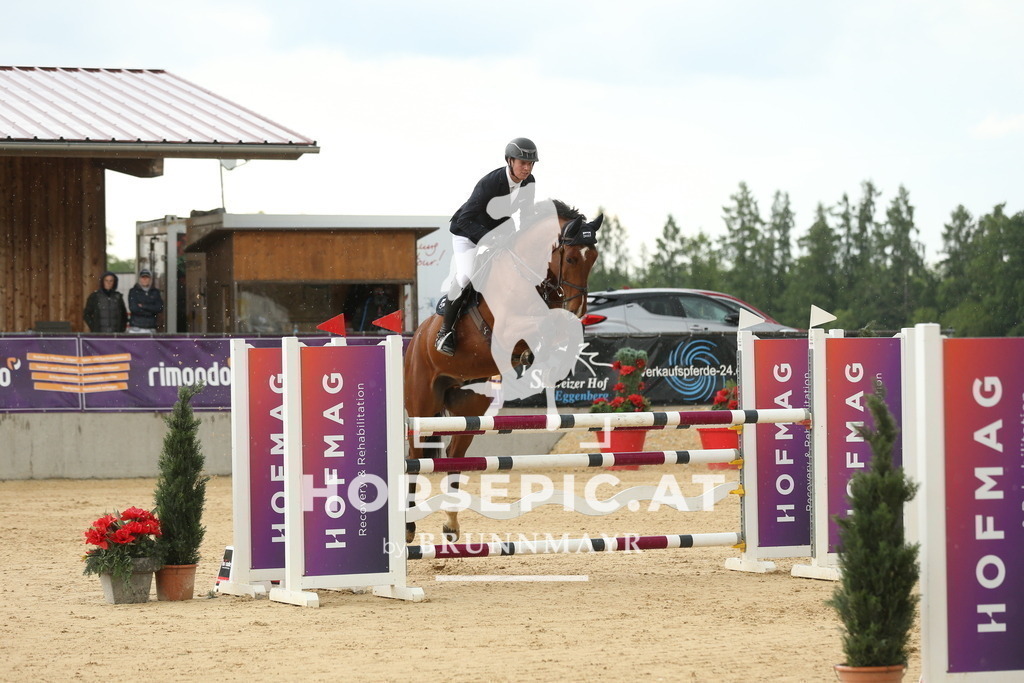 DL2Q1846 | Willkommen bei Brunnmayr - Design & Fotografie – Ihrem Spezialisten für Reitturniere und Pferdeveranstaltungen in Oberösterreich, Salzburg und Bayern! Seit über 17 Jahren sind wir leidenschaftlich dabei.