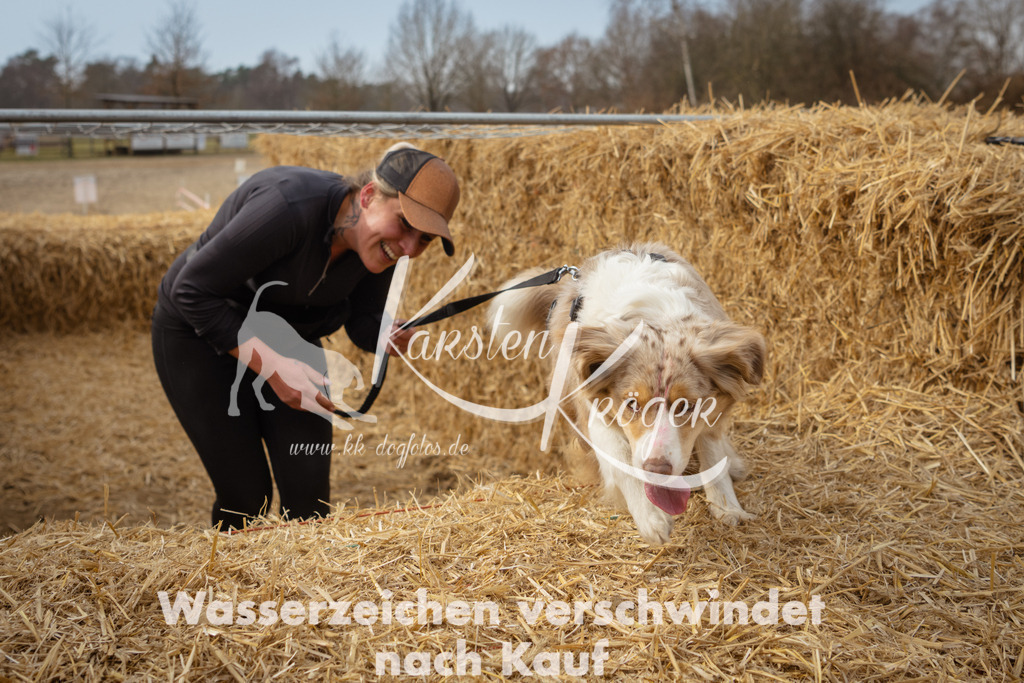 1138_ZZ94803 | kk-dogfotos