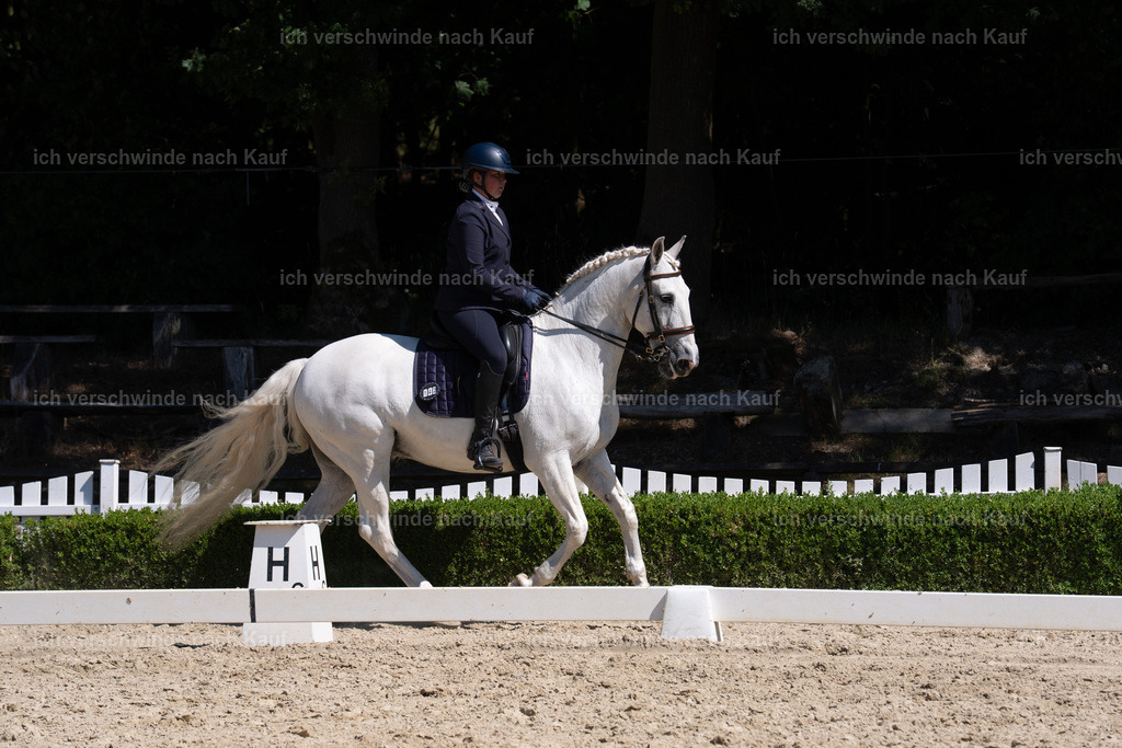 WS_DR_142_sinafilmart_IN09749 | working equitationturnier fotograf videograf stoibphotography marixx film working equitation deutschland reitsport turnierfotografie eventfotografie equestrian events
