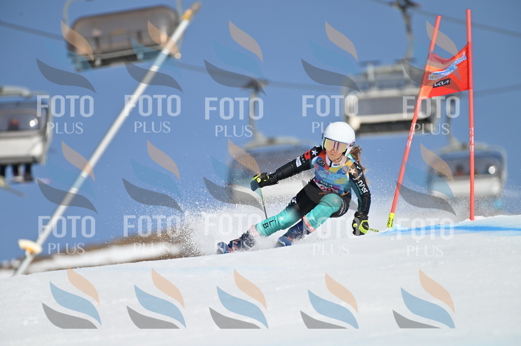 BGV_8121 | holidayphoto