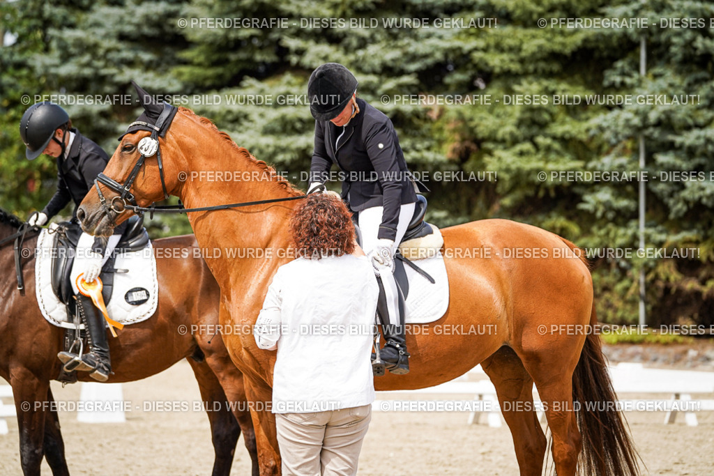 DSC04509 | Pferdegrafie