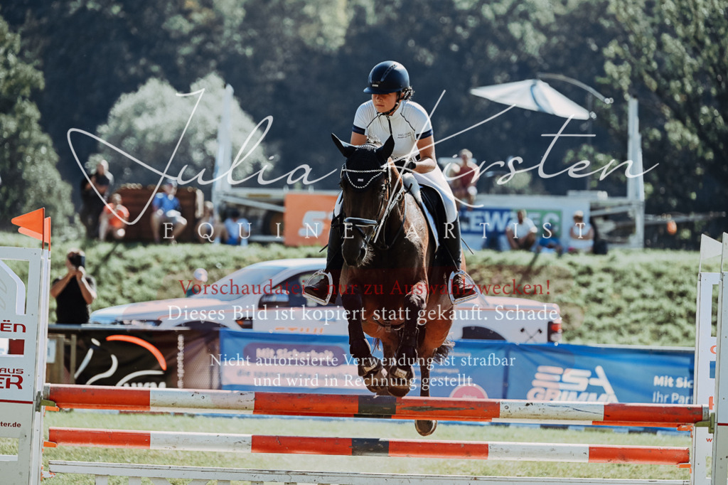 DSC_5961 | Pferde- und Turnierfotografie in Westsachsen. Pferdeportraits, Auftragszeichnungen und intuitive Kunst.