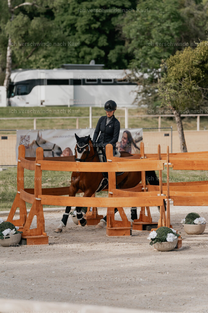 WE_ST_Stoib_337_PI2025_909 | Pferd International München 2025