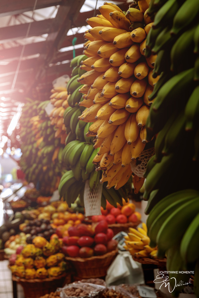 Mercado dos Lavradores; Funchal; Madeira | Herzlich willkommen auf meiner Seite! Ich bin Elke Wallnisch, Deine Fotografin für lichtstarke Momente. Der Name steht für alles, was mich mit der Fotografie verbindet: Das Licht und seine machtvolle Wirkung auf eine Situation oder unsere Stimmung - Realisiert mit Pictrs.com