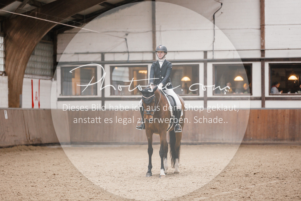3I6A6591 | Stimmungsvolle Portraits und Reitsportfotografie im Ruhrgebiet und im Münsterland.

Pferdefotografie, Hundefotografie, Tierfotografie, Reportagen, Portraits von Tier und Mensch, Turnierfotografie in Bochum, Recklinghausen, Marl, Haltern am See, Dülmen.. - Realisiert mit Pictrs.com