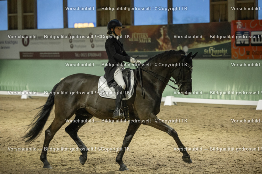 _D5A7452 | Emotionale Pferde- & People-Fotografie rund um Heidelberg, Leimen & Umgebung. Natürliche Fotos von Pferd, Mensch & Familie. Jetzt Termin sichern!