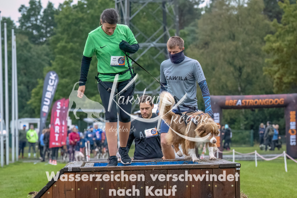 1212--16 | kk-dogfotos