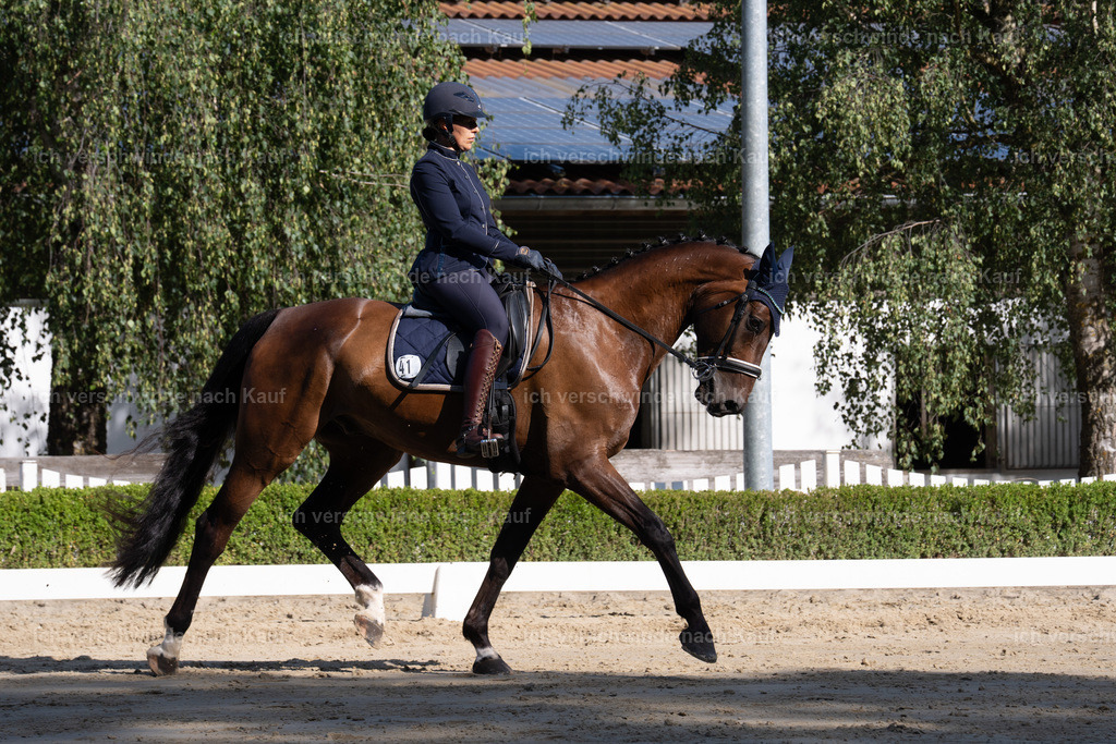 WL_DR_41_sinafilmart_IN06204 | working equitationturnier fotograf videograf stoibphotography marixx film working equitation deutschland reitsport turnierfotografie eventfotografie equestrian events