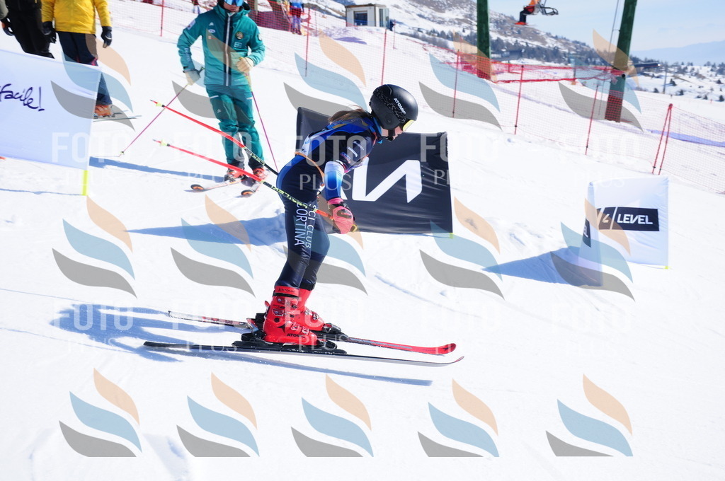 DSC_3816 | holidayphoto