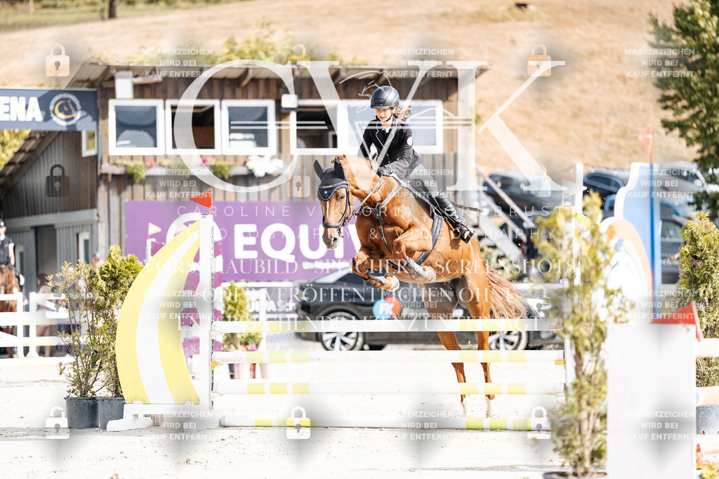 CK909020 | Turnierfotografie Pferdefotografie Trier Rheinland-Pfalz Pferdesport Reitsport Tierfotografie Sportfotografie Pferdevideo Pferdevideografie Equestrianvideography equestrianphotography  - Realisiert mit Pictrs.com