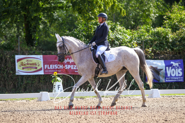 DKP42816 | Turnierfotos kaufen im Webshop von Daniel Kuhl Photography – entdecke professionelle Reitsportfotos aus Turnieren & Events. Hochwertige Turnierbilder online bestellen & sichern. Jetzt Fotos von Reitsportturnieren kaufen!