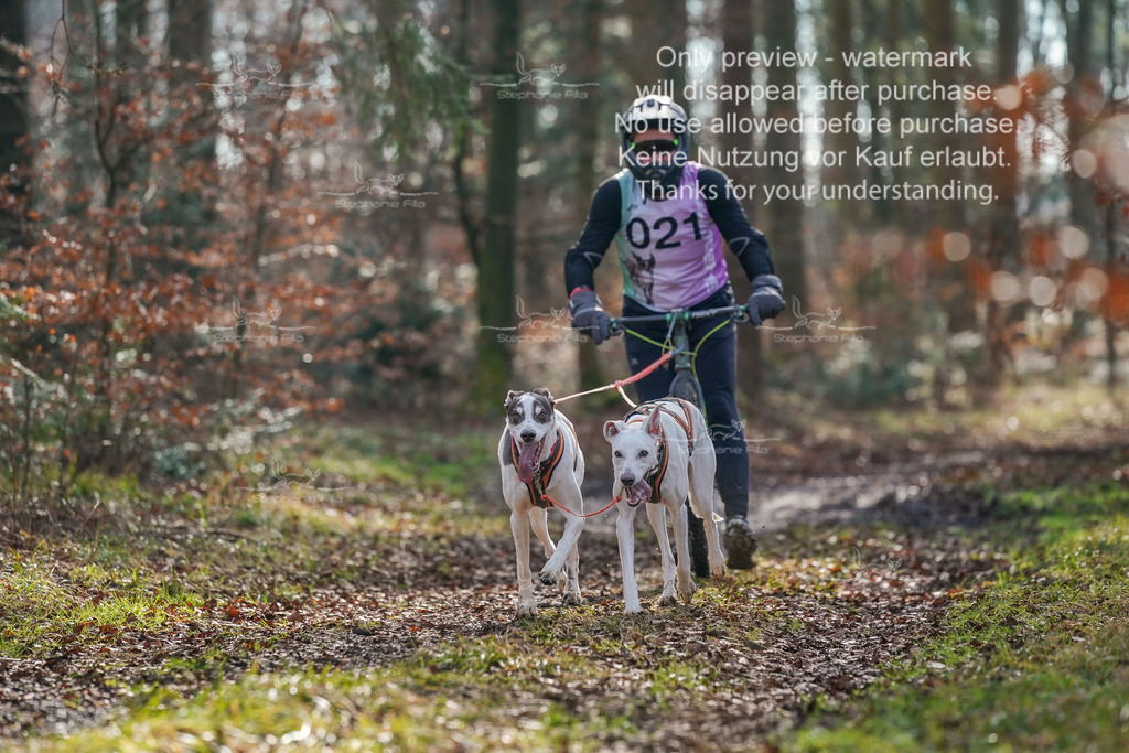 So_Scooter_2-81 | stephaniefillaphotographie - Realisiert mit Pictrs.com