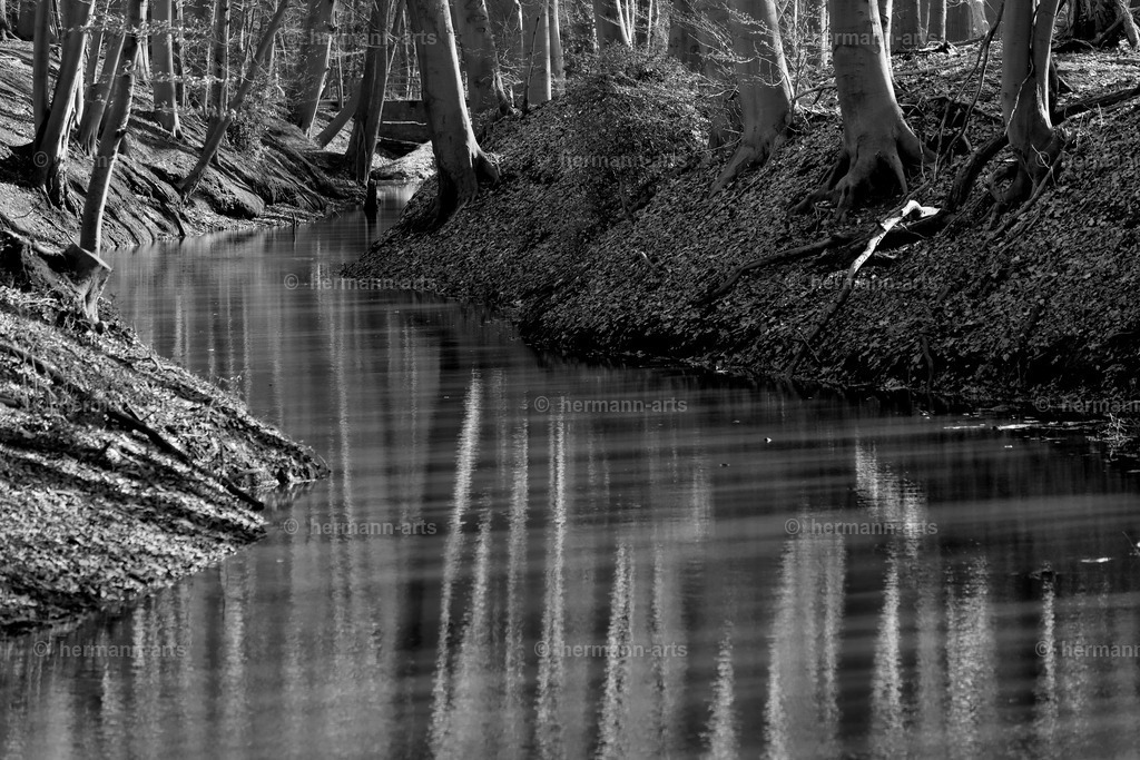 Hermann-Arts_Bentlage-Rheine_276 | Photo Foto Kunst Art schwarzweiss Bilder Rheine Münster Berlin Blumen 