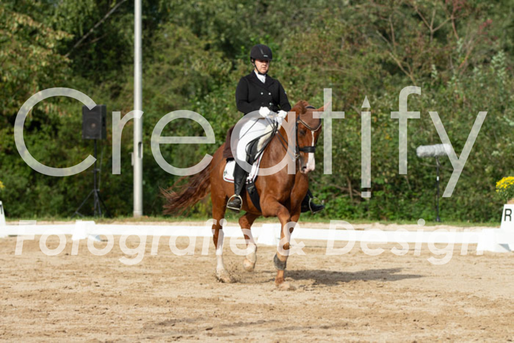 IMG_4598 | Creatify Fotografie