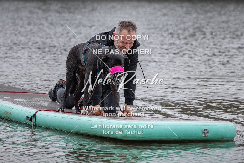 nelerasche_Hulsbeek_Sa1330-1430_312 | nelerasche