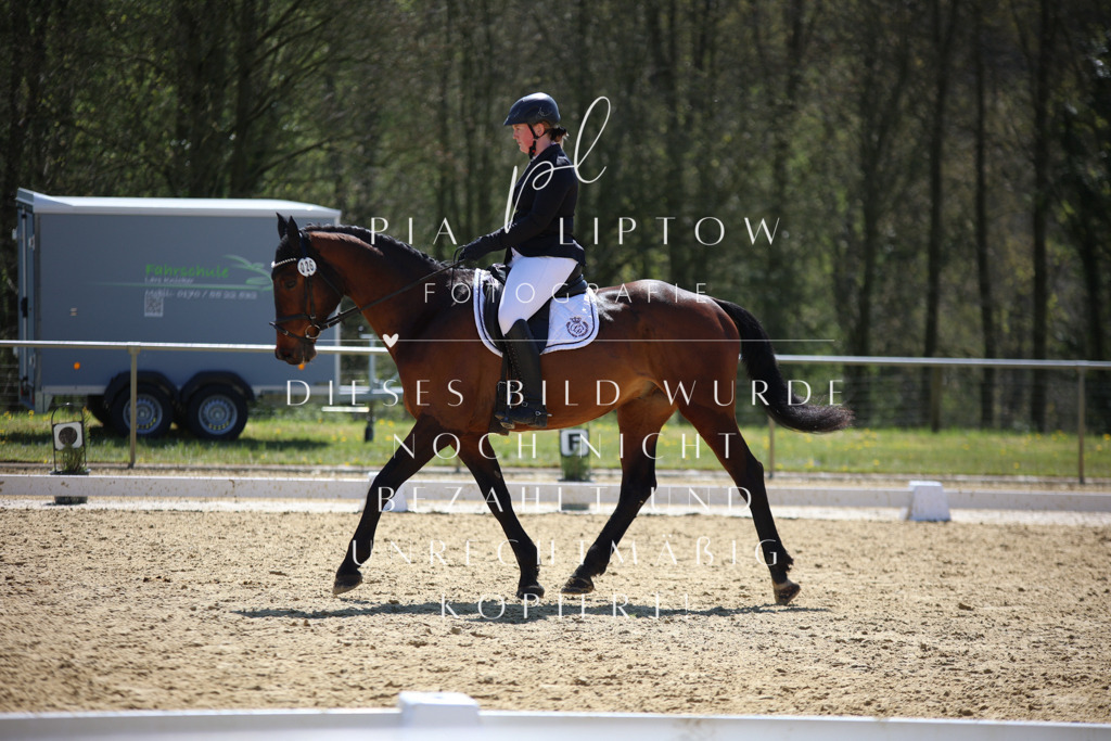 IMGT1564 | pl-fotografie