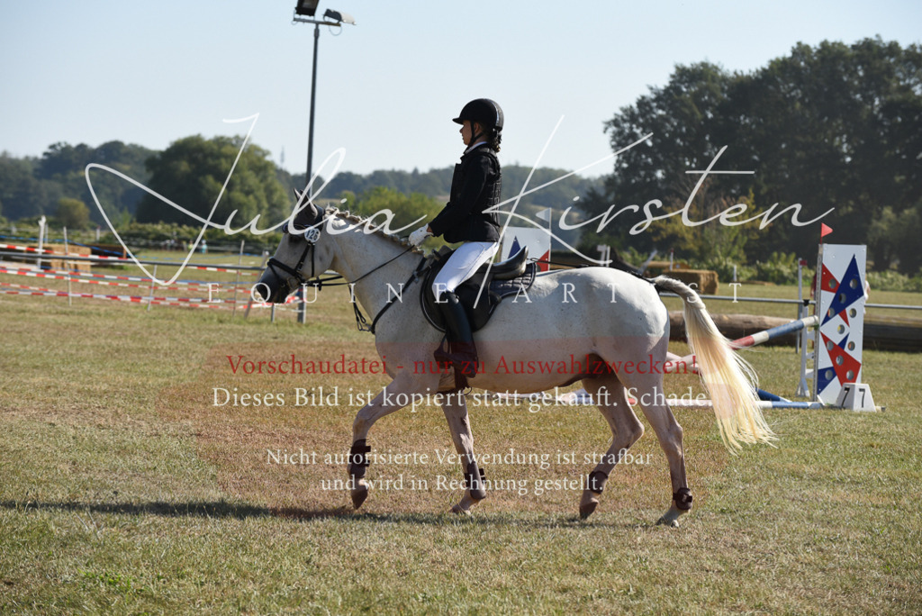 DSC_5852 | Pferde- und Turnierfotografie in Westsachsen. Pferdeportraits, Auftragszeichnungen und intuitive Kunst.