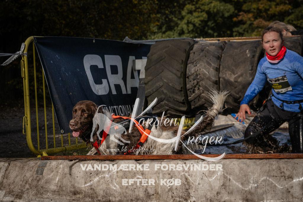 1401_ZZ93800 | kk-dogfotos