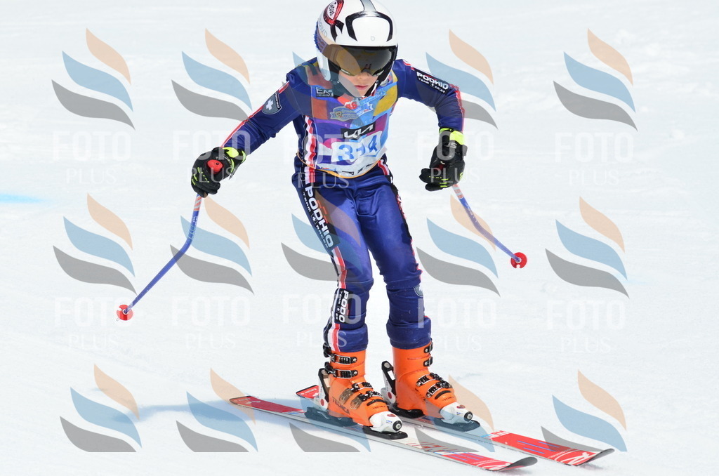 _ELE2371 | holidayphoto