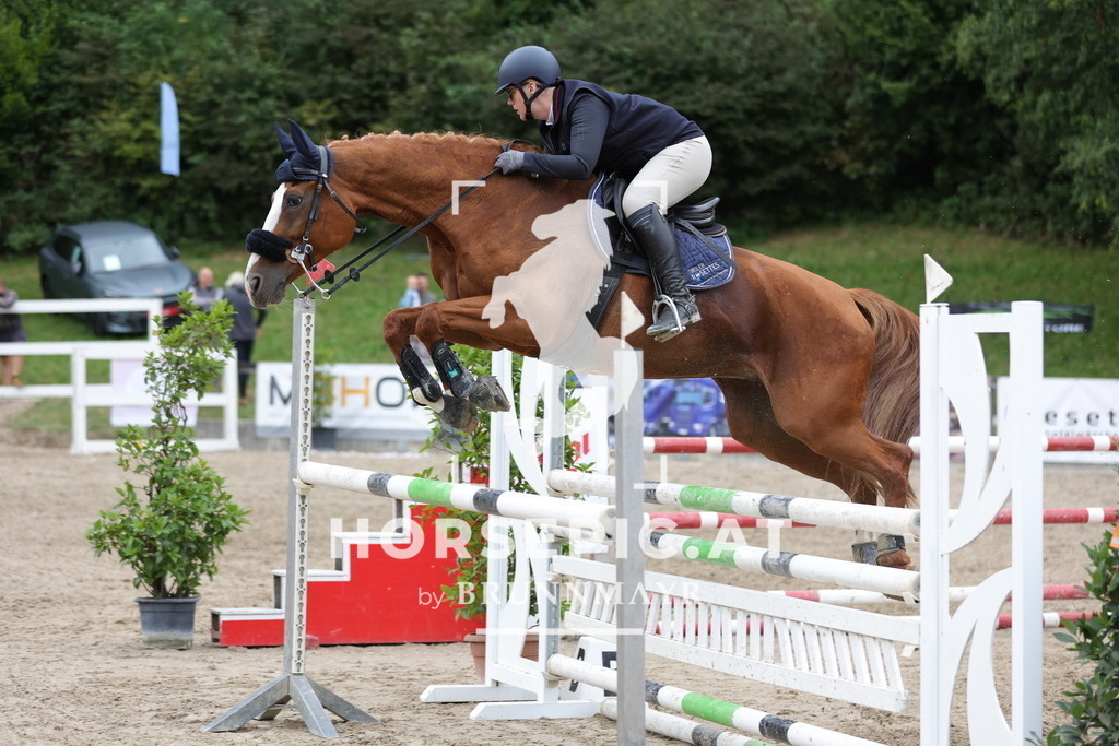 0P6A3257 | Willkommen bei Brunnmayr - Design & Fotografie – Ihrem Spezialisten für Reitturniere und Pferdeveranstaltungen in Oberösterreich, Salzburg und Bayern! Seit über 17 Jahren sind wir leidenschaftlich dabei.