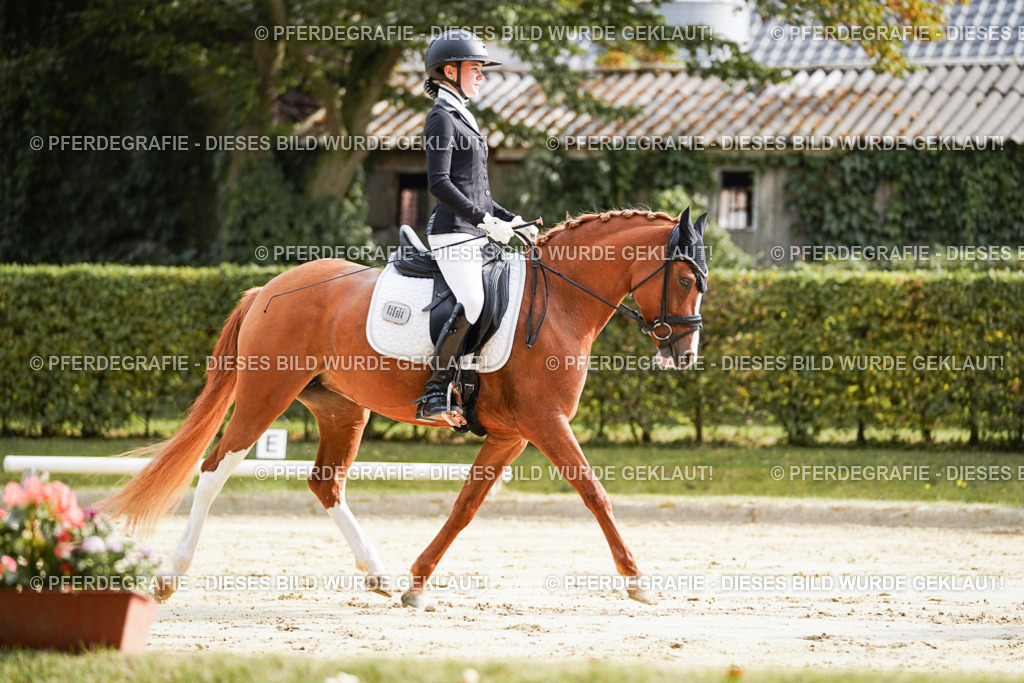 DSC03999 | Pferdegrafie