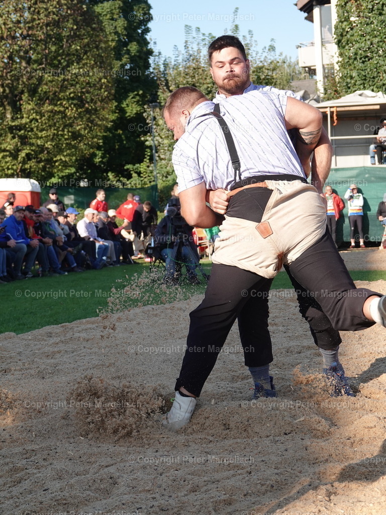 DSC05552 | Schwingen - Realisiert mit Pictrs.com