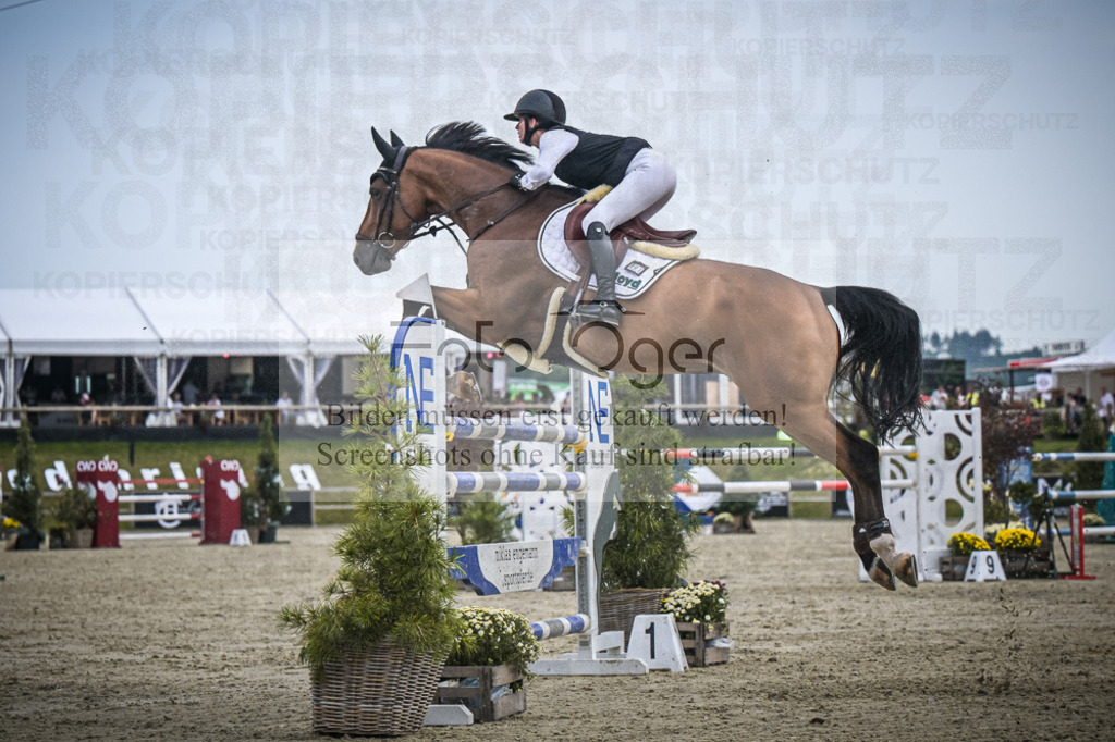 DOS_1511 | Entdecke hochwertige Reitturnierfotos von Foto Oger. Professionell, emotional und authentisch – jetzt Lieblingsmomente im Shop bestellen.Deutschlandweite Turnierfotografie. - Realisiert mit Pictrs.com