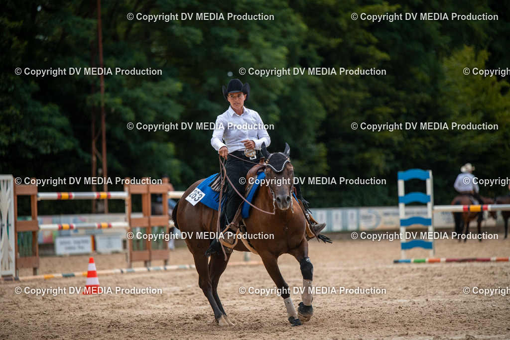 ZS2_8633 | dv-media-shop - Realisiert mit Pictrs.com