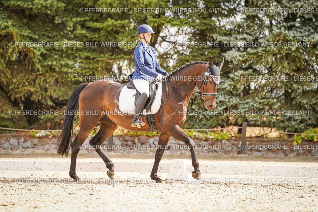 DSC01432 | Pferdegrafie